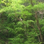 うみちさんのプロフィール画像