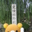 かとぅーさんのプロフィール画像