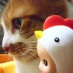 ソラリさんのプロフィール画像