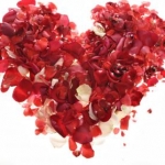 milk7さんのプロフィール画像