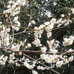 ももさんのプロフィール画像