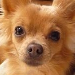 ゆっこさんのプロフィール画像