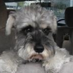 lov**2mi*t2004さんのプロフィール画像