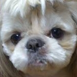 空雅さんのプロフィール画像