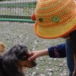 yumiさんのプロフィール画像