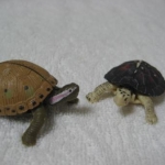 hanahanaさんのプロフィール画像