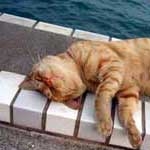 funkyさんのプロフィール画像