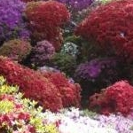 tentenさんのプロフィール画像