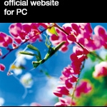 旦那様大好き☆さんのプロフィール画像