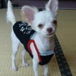 lunaさんのプロフィール画像