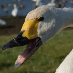 お京さんのプロフィール画像