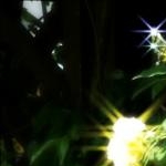 inoさんのプロフィール画像