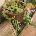 erika*さんのプロフィール画像