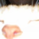 ミイシャンママさんのプロフィール画像