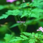 なゆかしさんのプロフィール画像