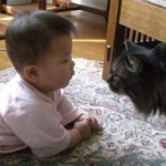 hjママさんのプロフィール画像