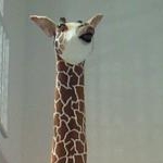 みでぃ☆さんのプロフィール画像