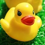 zumyさんのプロフィール画像