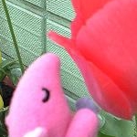 bakuraさんのプロフィール画像