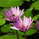 みっきー２世さんのプロフィール画像