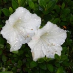 すみすみさんのプロフィール画像