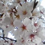 donsanさんのプロフィール画像