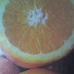 エレコさんのプロフィール画像