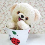 くろまめよーぜふ