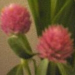 えつさんのプロフィール画像