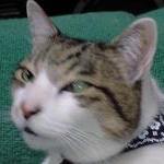 akk**107さんのプロフィール画像