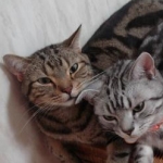 rinkoさんのプロフィール画像