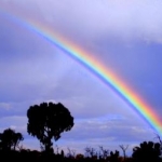 IRISさんのプロフィール画像