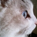 mim**ora1*さんのプロフィール画像