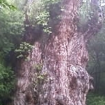 ジャッキーさんのプロフィール画像