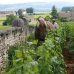 Ivrogneさんのプロフィール画像