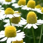 calmoneselfyogaさんのプロフィール画像