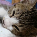 のりさんのプロフィール画像