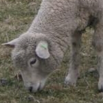 はっちママさんのプロフィール画像