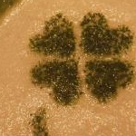 デビィーさんのプロフィール画像