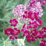 珀太郎さんのプロフィール画像