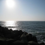 おりりんさんのプロフィール画像