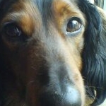 HAPPY★CREAさんのプロフィール画像