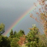 rociiさんのプロフィール画像