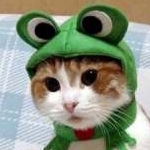 リラックマさんのプロフィール画像