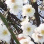 mak*5*041*さんのプロフィール画像