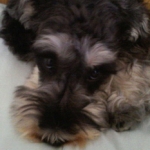 haruさんのプロフィール画像