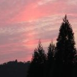 yuuuさんのプロフィール画像