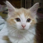 miyakichiさんのプロフィール画像