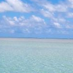 ii marimoさんのプロフィール画像