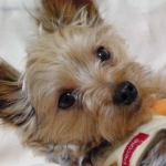 もも姐さんのプロフィール画像